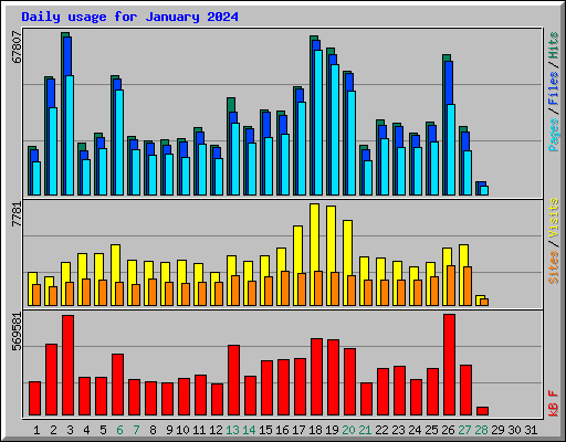 Daily usage for January 2024