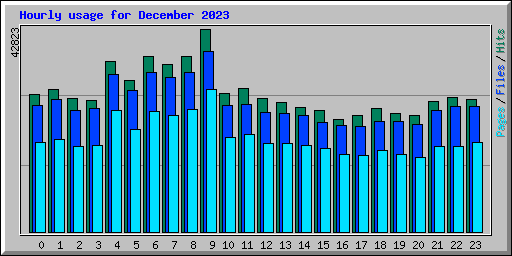 Hourly usage for December 2023