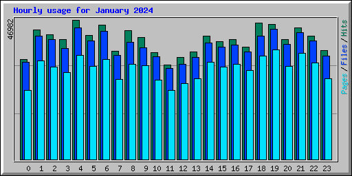 Hourly usage for January 2024