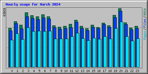 Hourly usage for March 2024